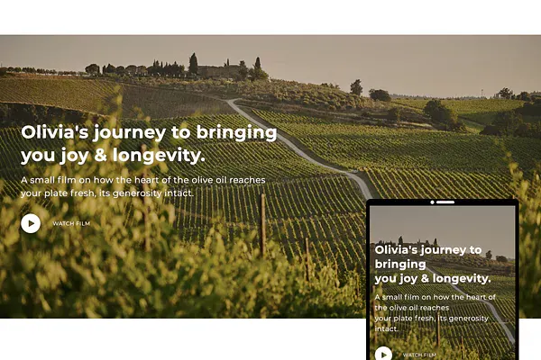 Video Banner 3 — custom Shopify section by Faber